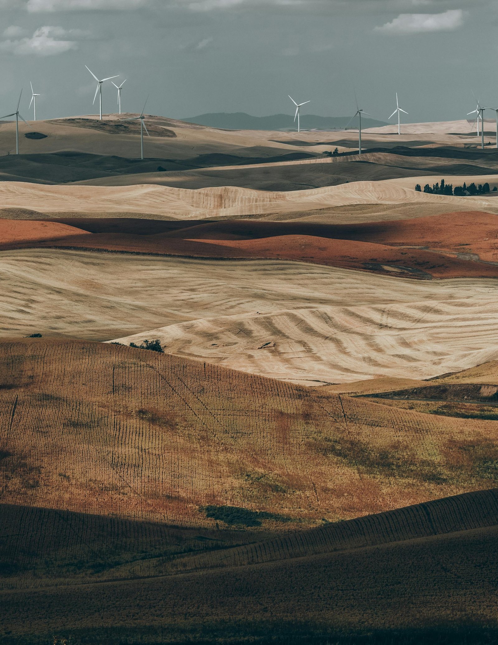 59. The Impact of Regulations on Renewable Energy Projects - Environmental Regulations